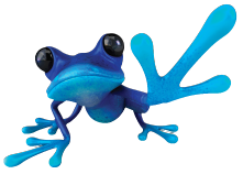 The Blue Frog